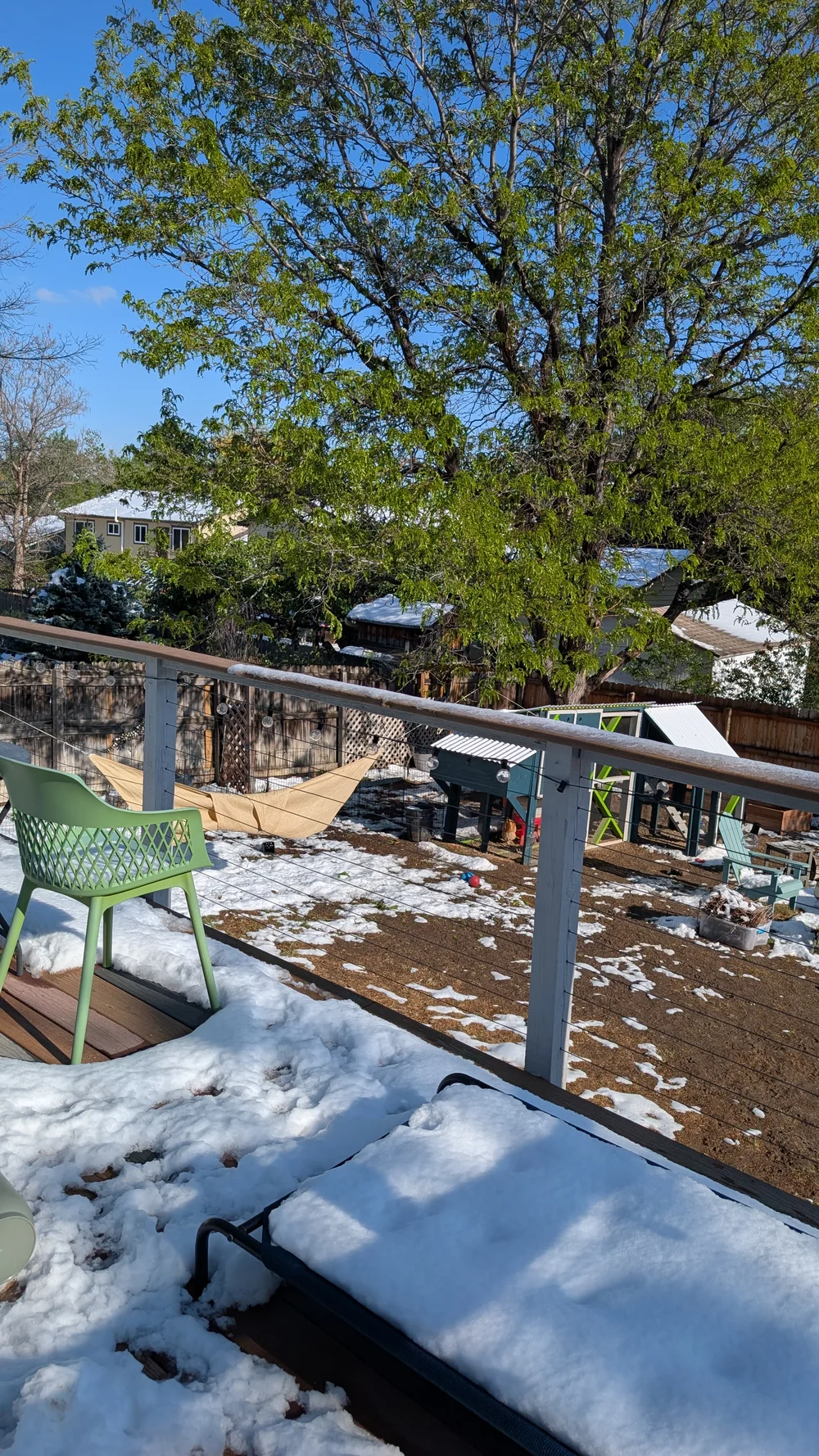 5pm arch backyard