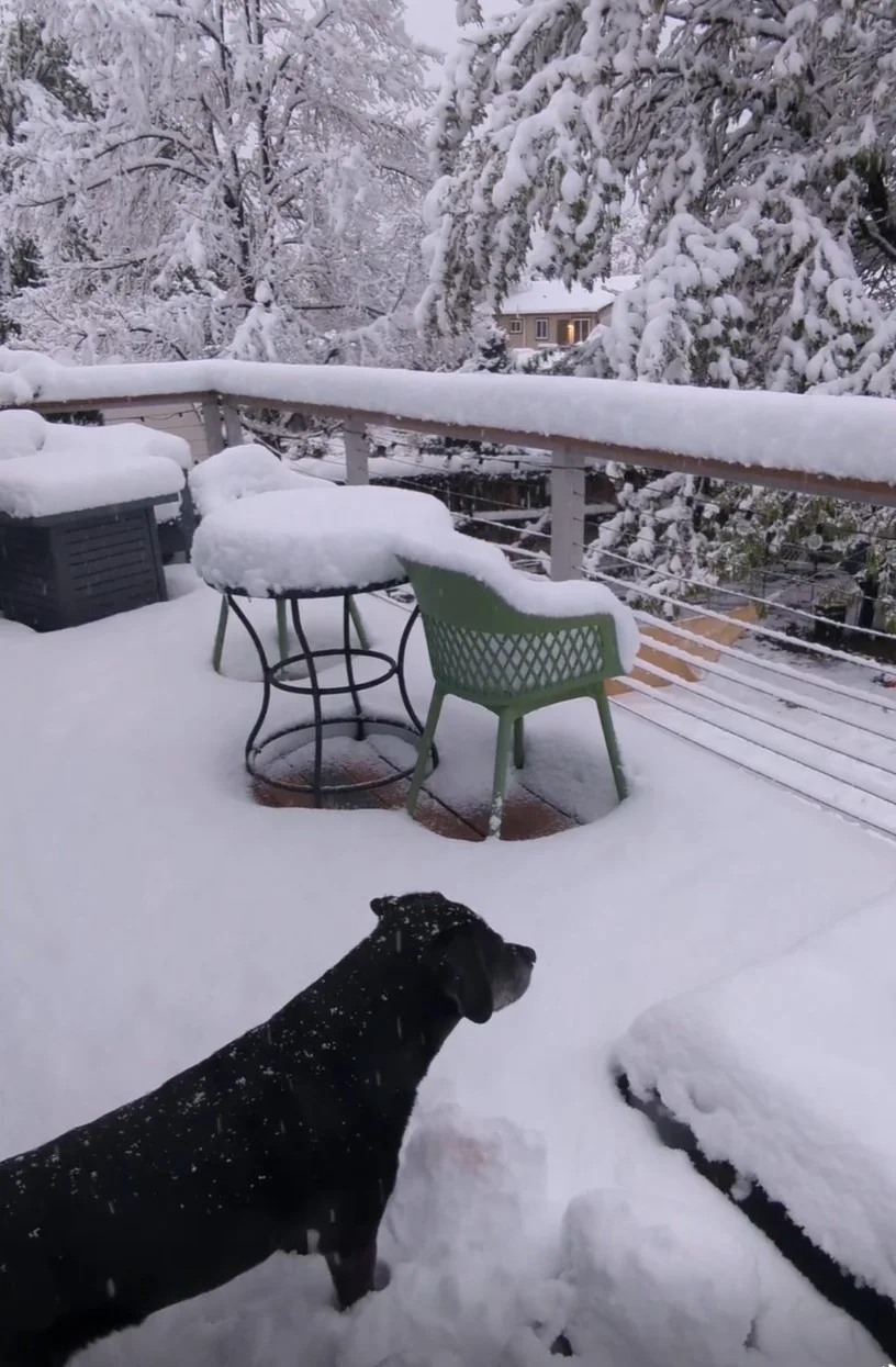 7 am arch backyard