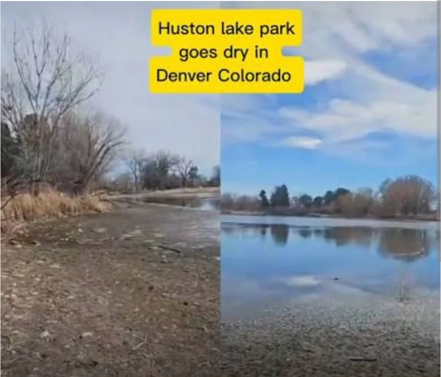 dry dry dry as a bone