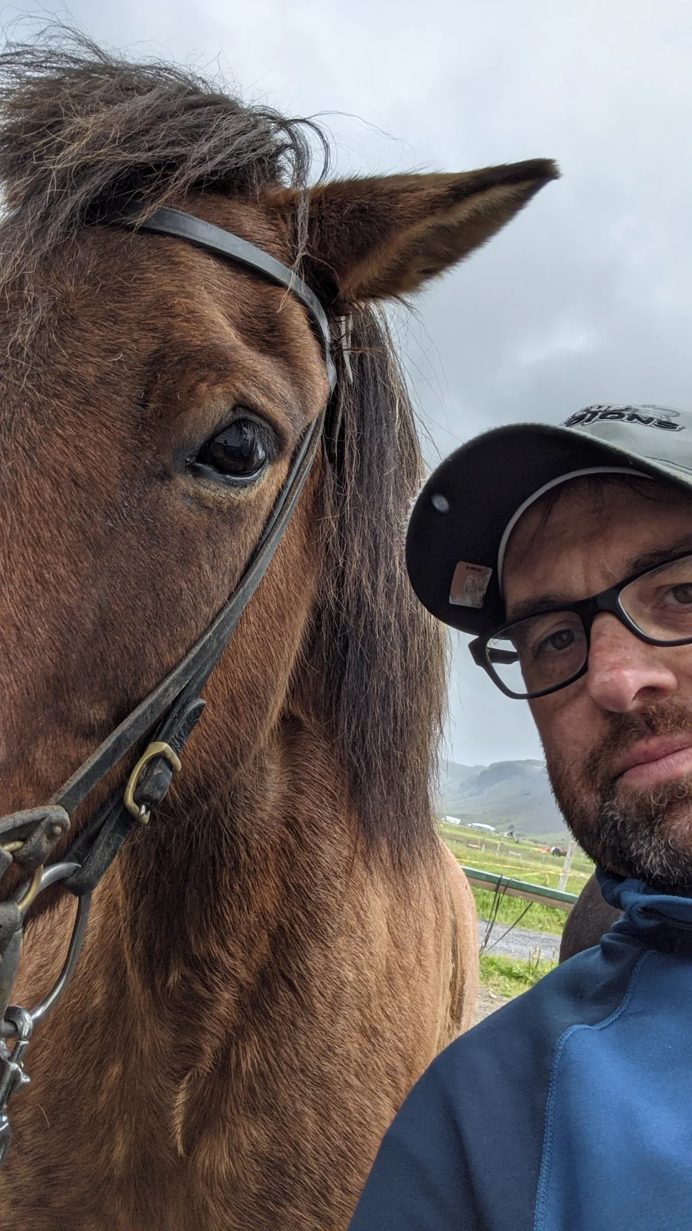 horse back riding in iceland