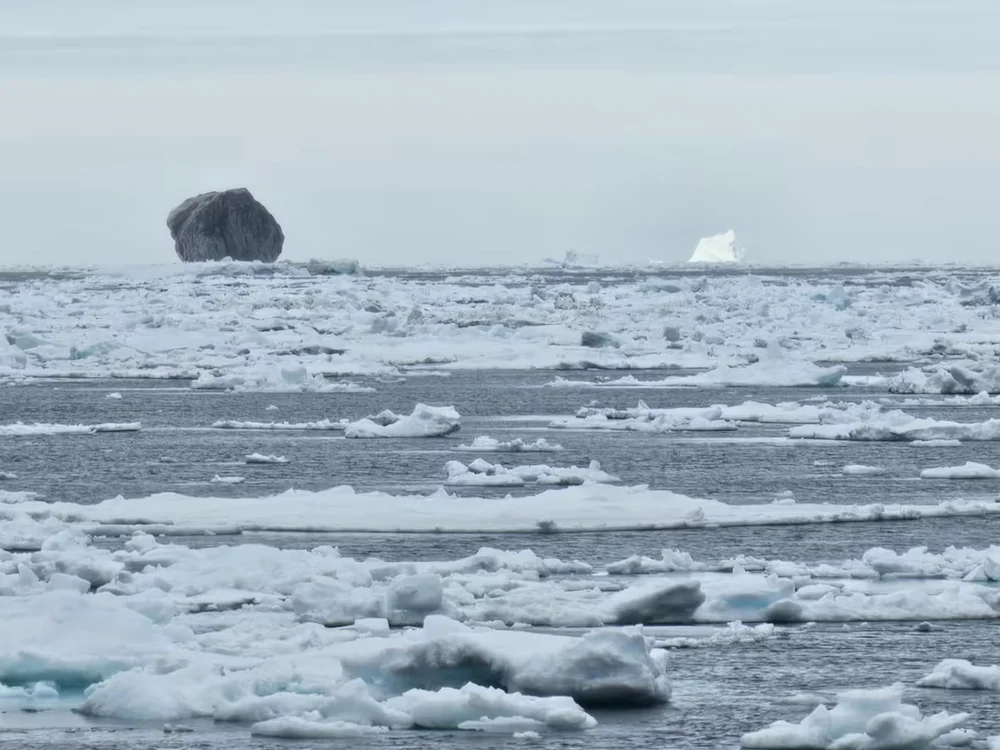 black iceberg