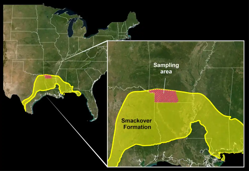 lithium in smackover formation