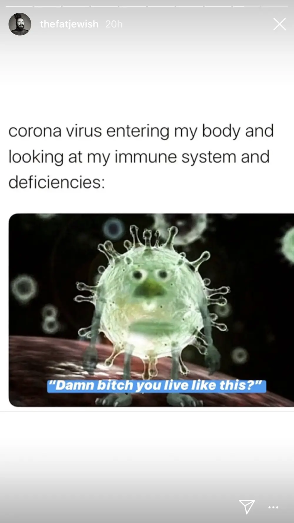 corona virus looking at your immune system