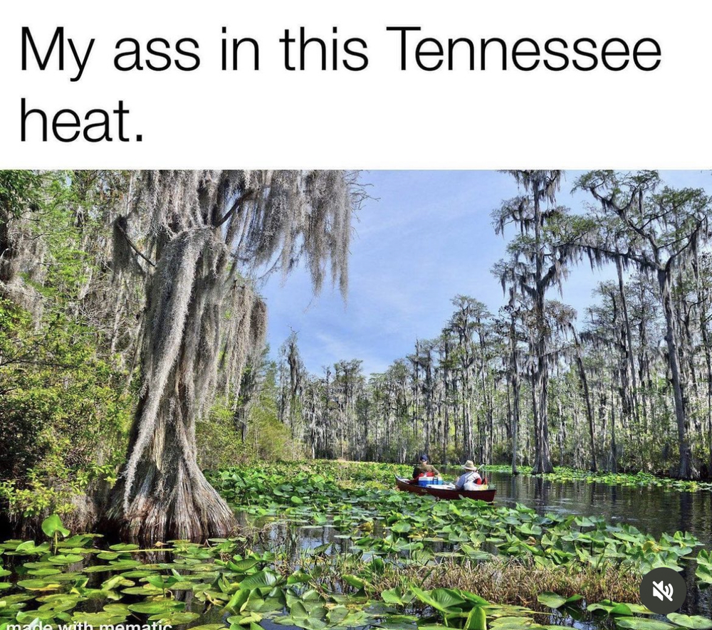 my ass in tennesse heat