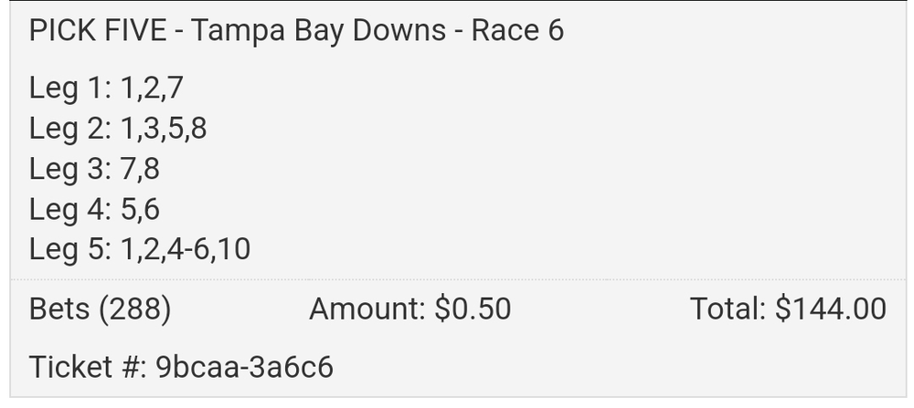 20240203 Tampa Bay Downs Race 6