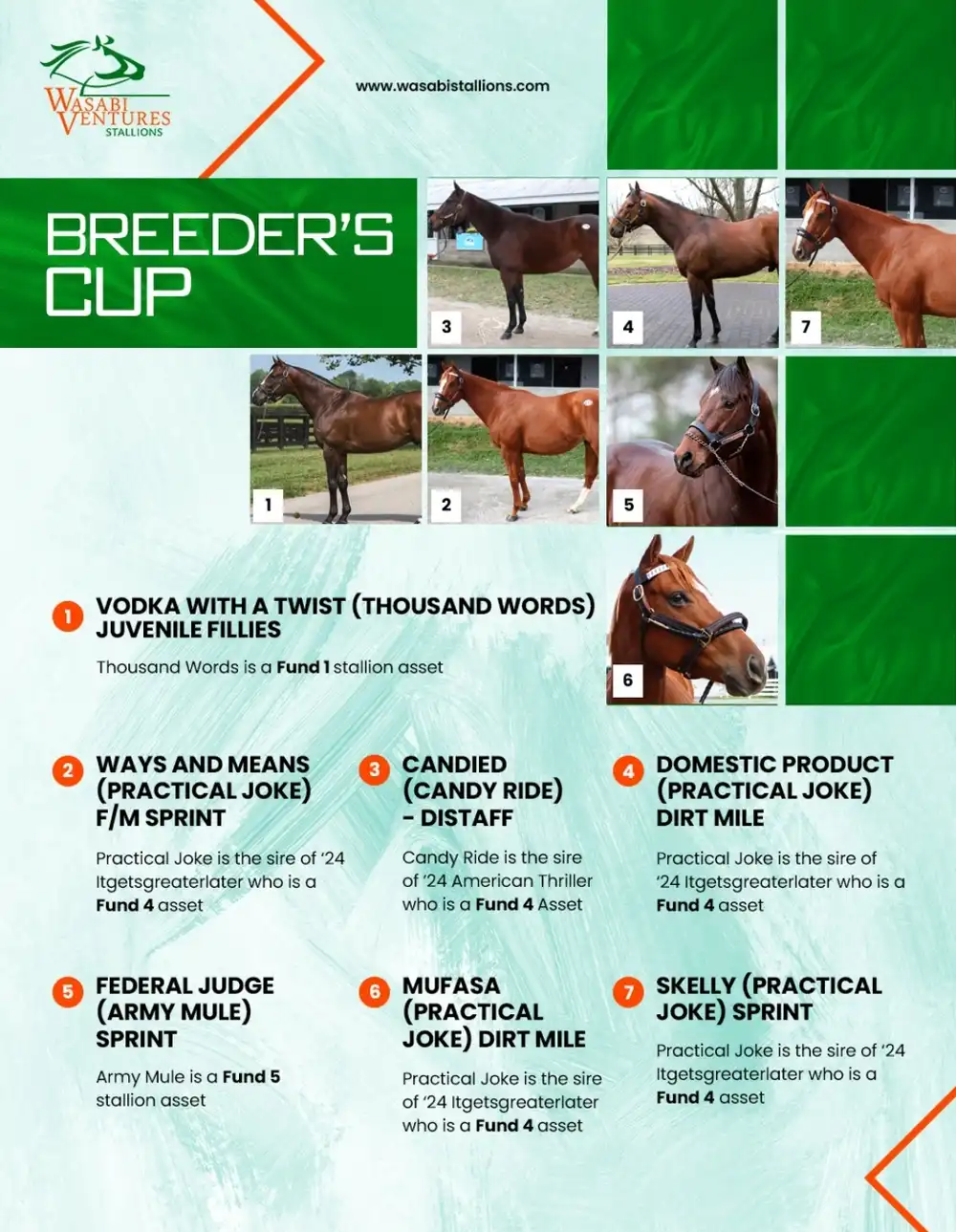 breeders cup 2024