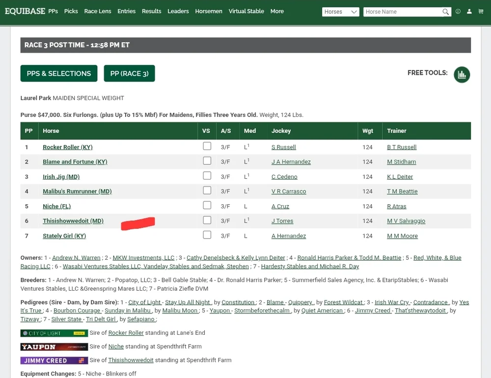 friday at laurel thisishowwedoit