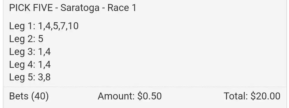 saratoga race 1 20240720