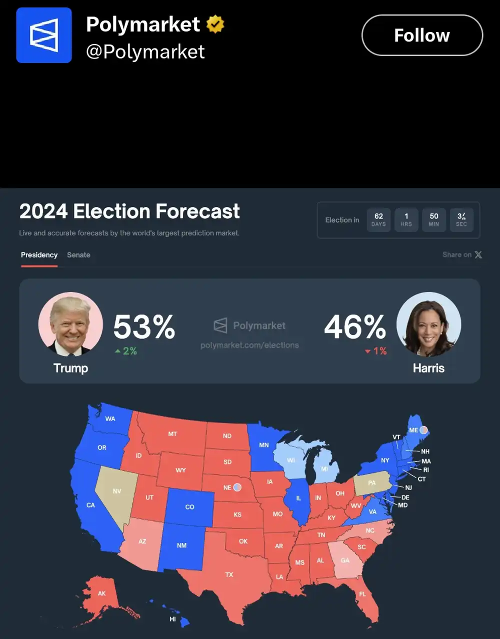 2024 elections forecast