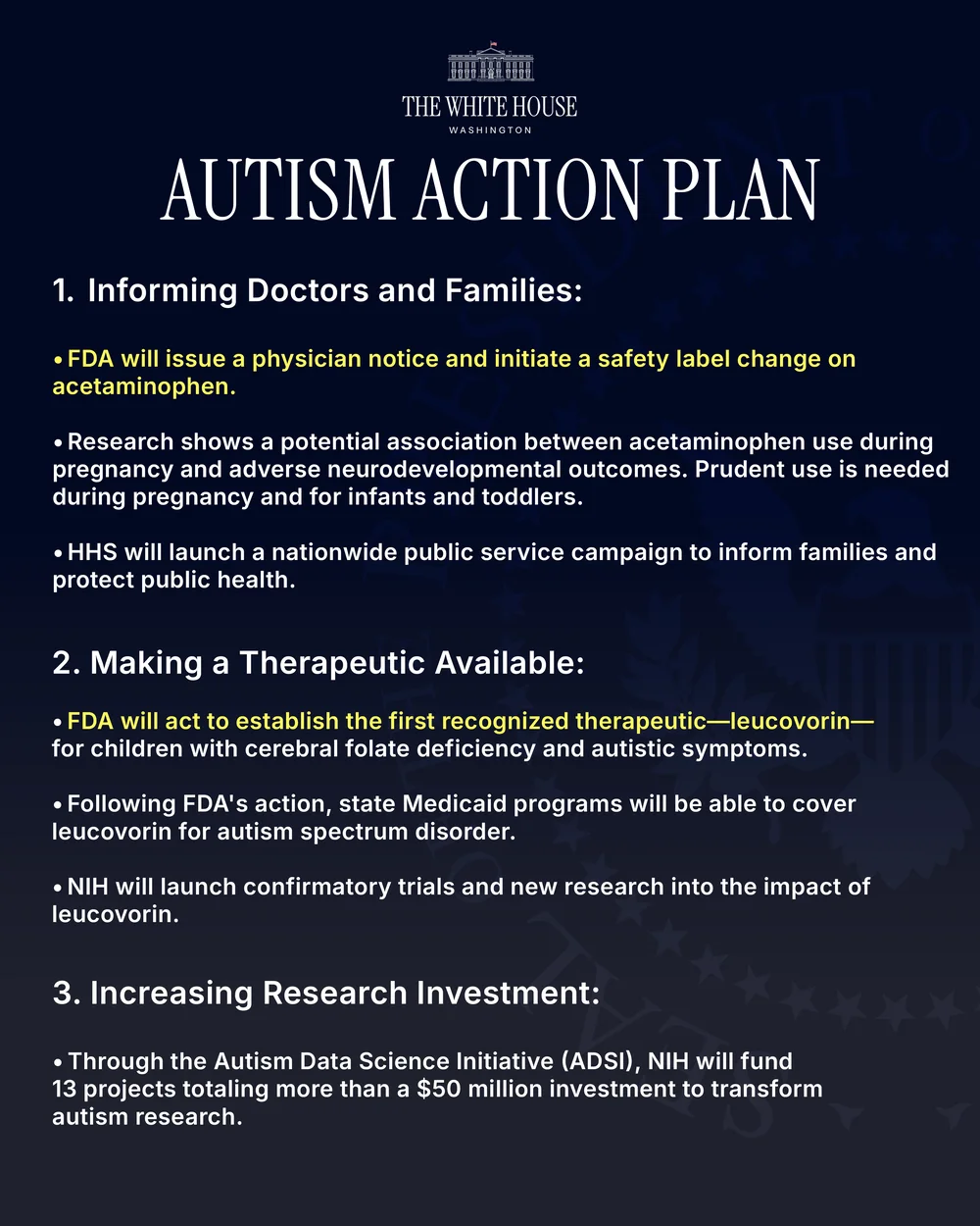 austism action plan