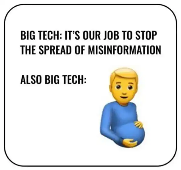 big tech misinformation