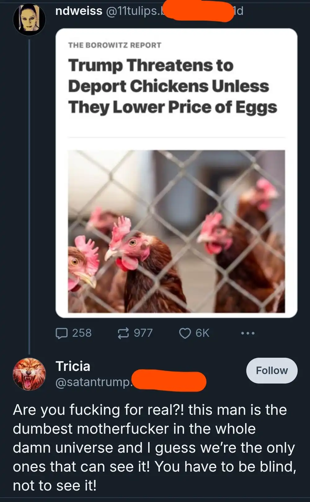 deport chickens