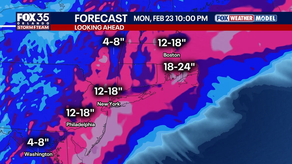 east coast buckle up