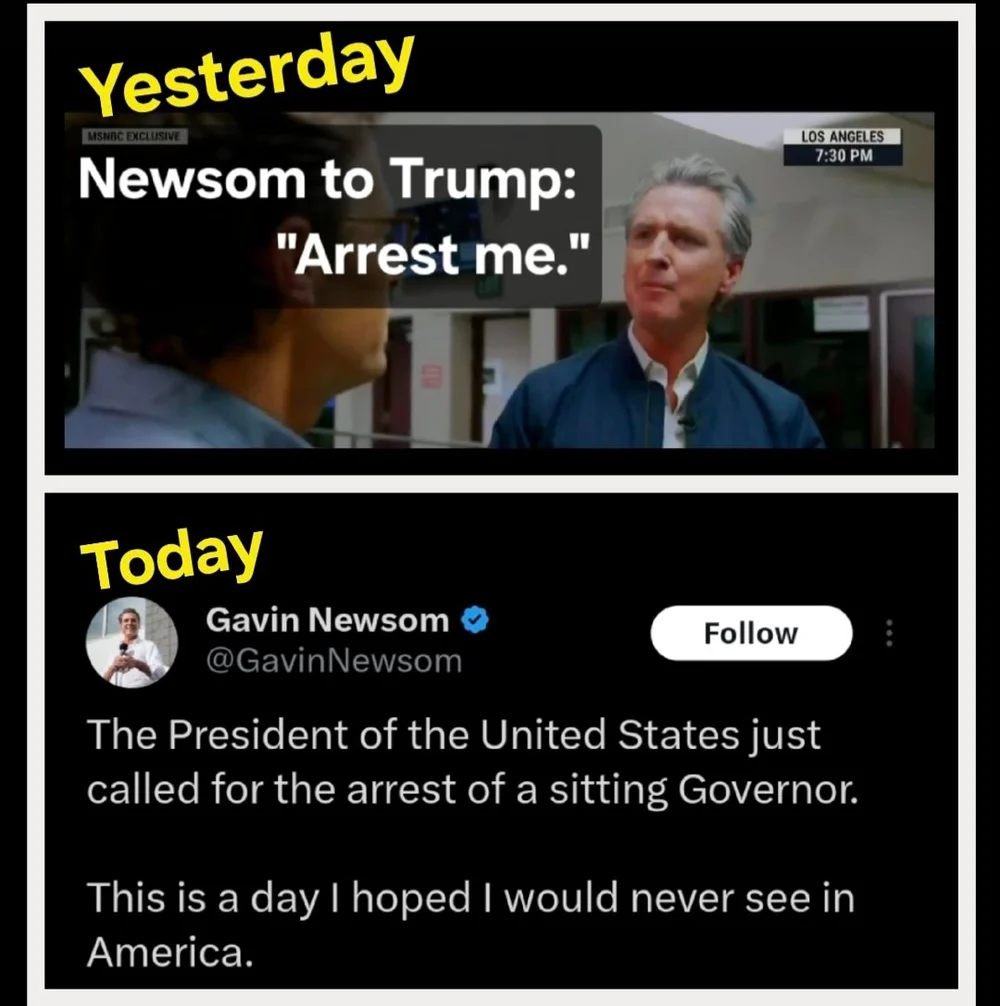 gavin arrest me