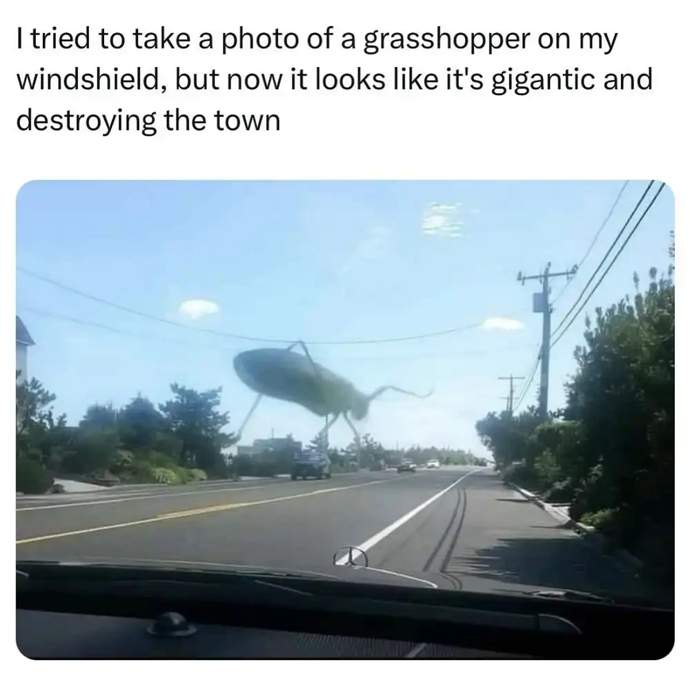 giant grasshopper