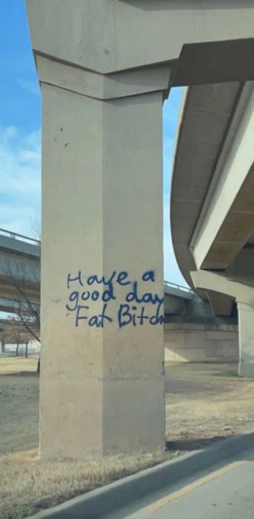 have a good day fat bitch