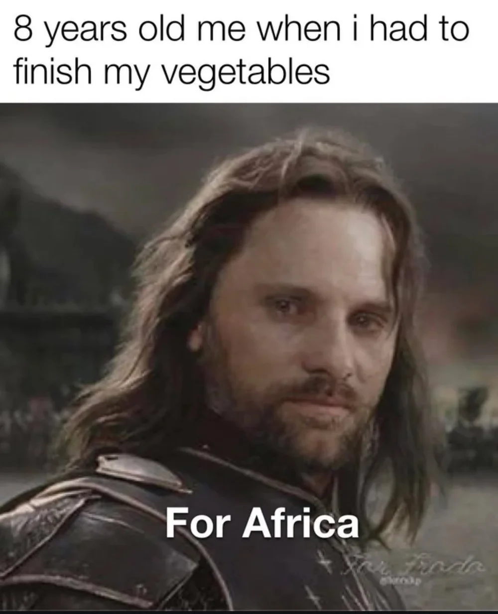 my vegetables