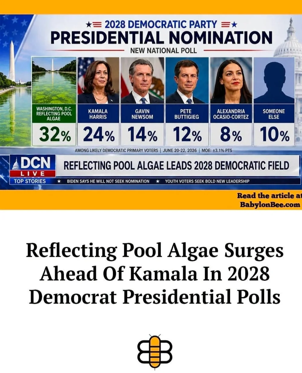 refelcting pool algae