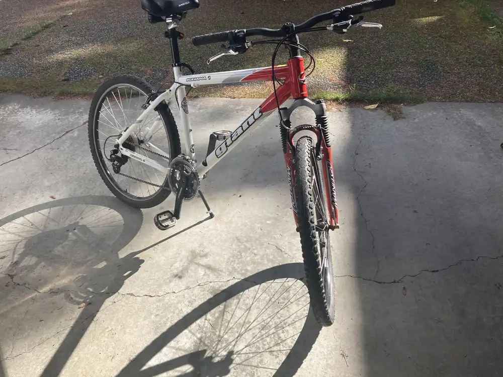 10 year old bike