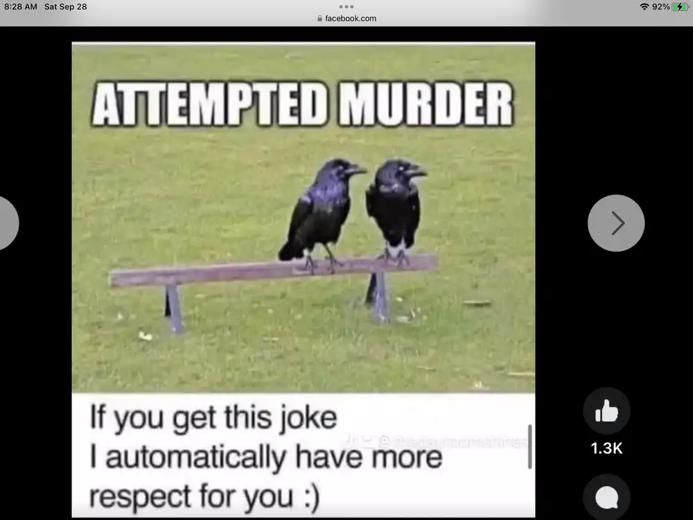 attempted murder crows