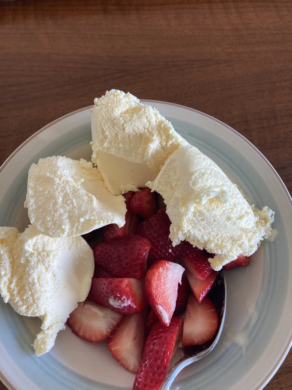 first strawberries of the year