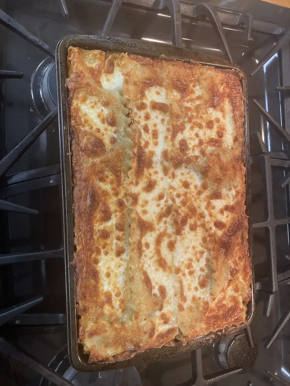 lasagna