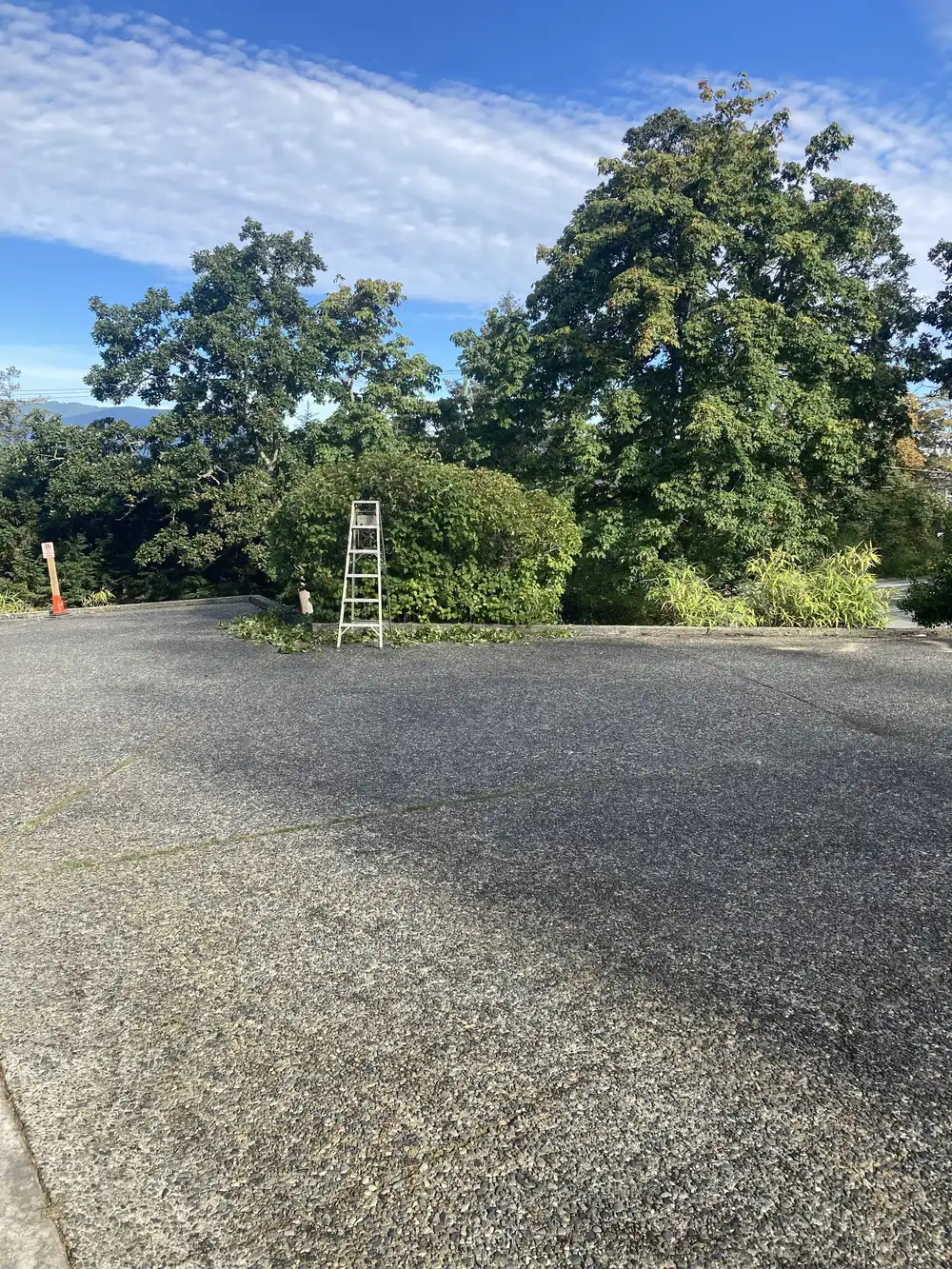 milwaukee electric trimmer before winter