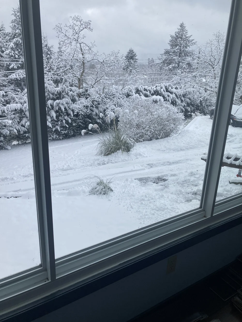 rare snow day in victoria 3