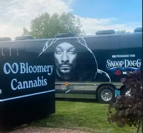 bloomery cannabos local pot shop_