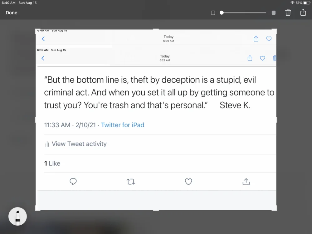 deception is stupid