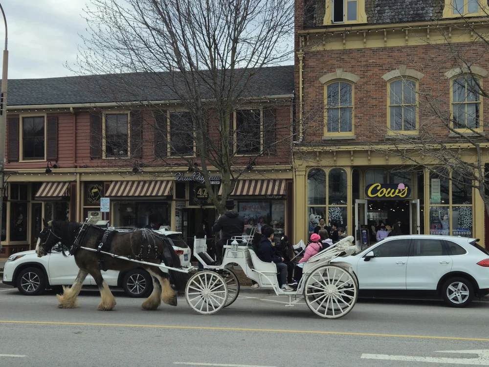 Fort Erie Horse Carriage