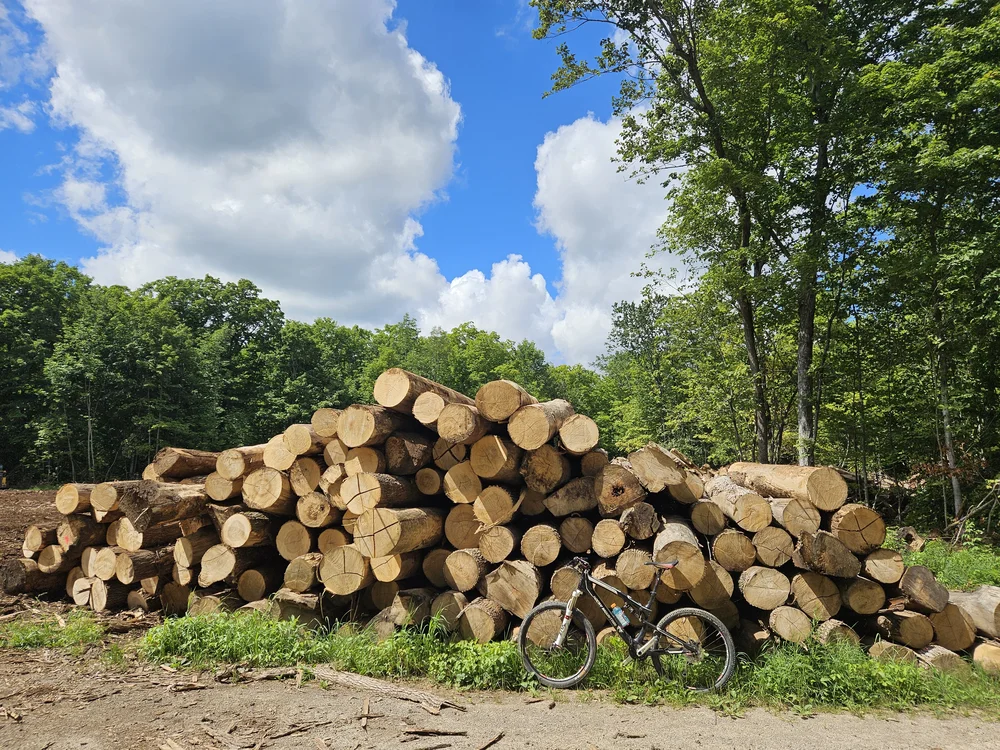 active logging keep out