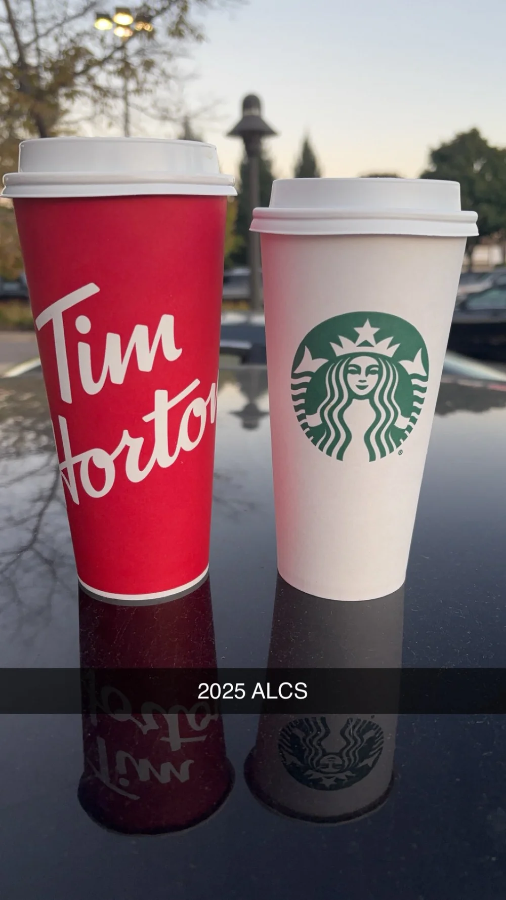alcs timmy starbucks