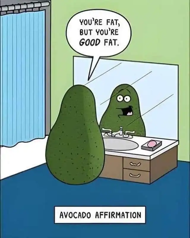avocados are fat