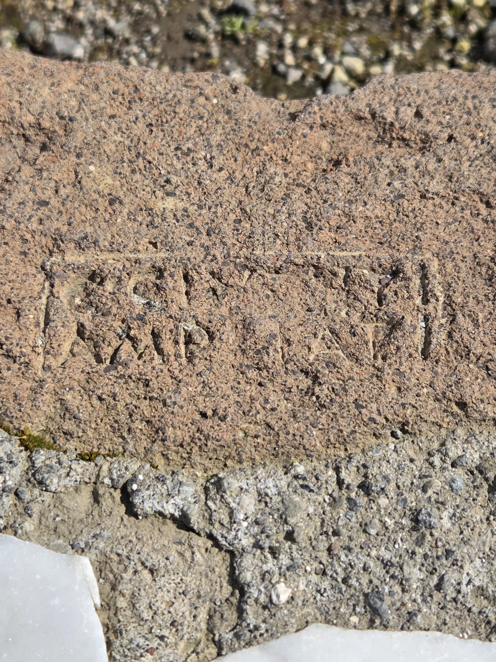 being able to touch and step on basically everything