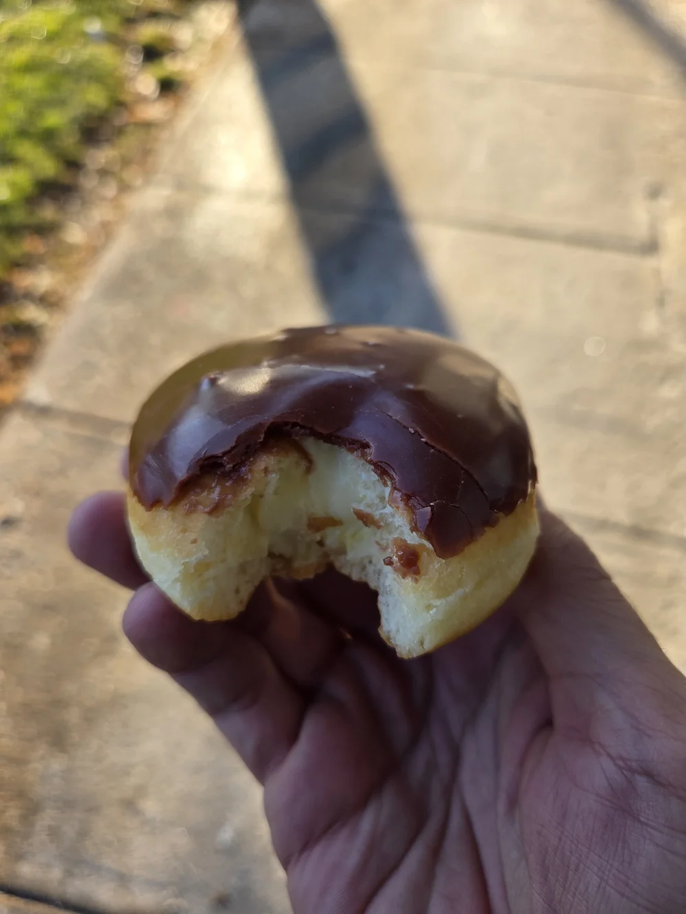 boston cream donut