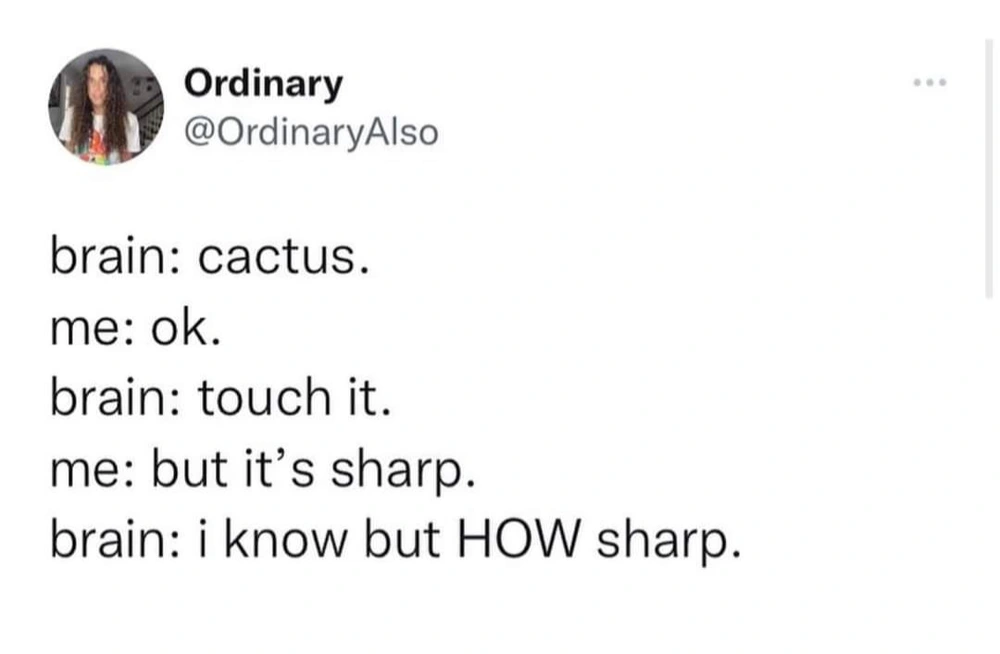 brain cactus no