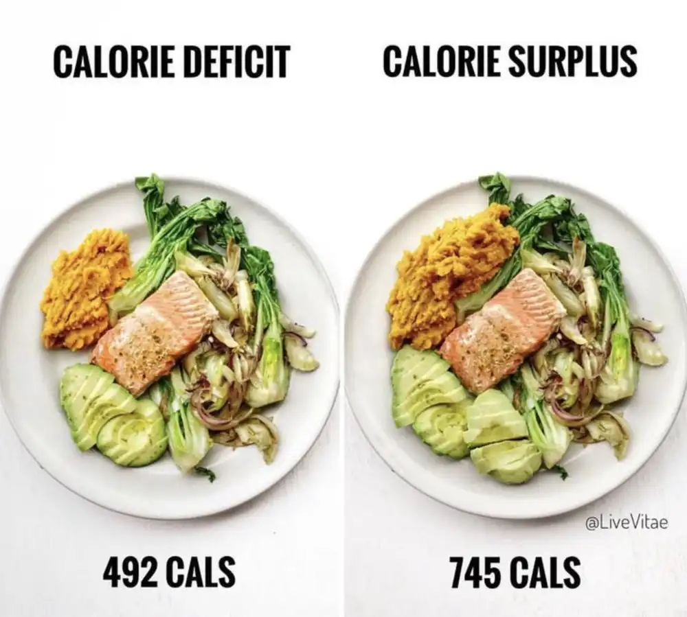 calorie deficit