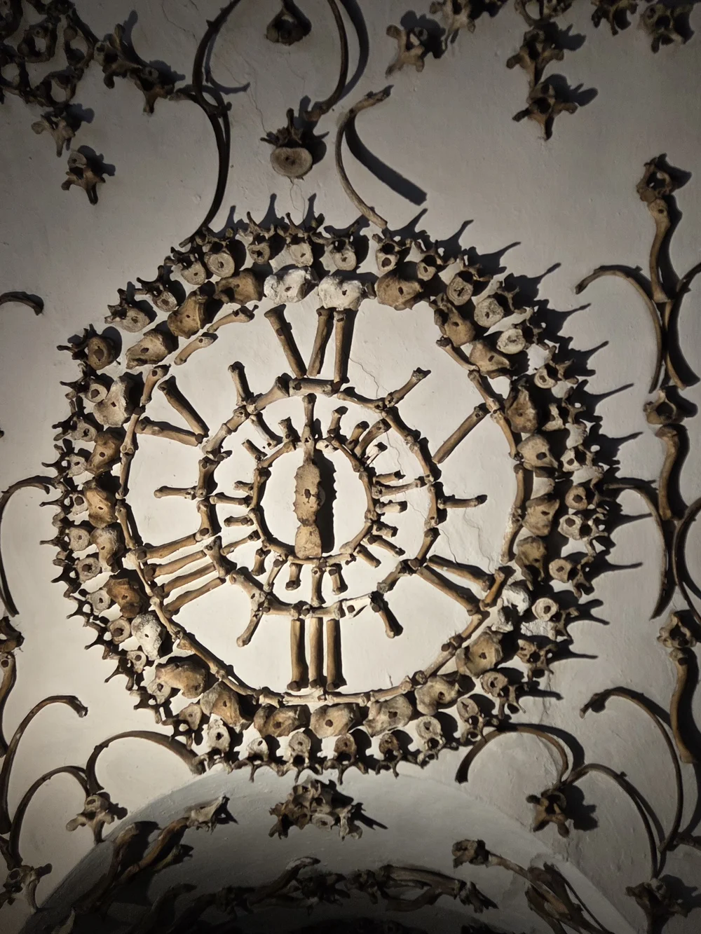 capuchin crypt was insane