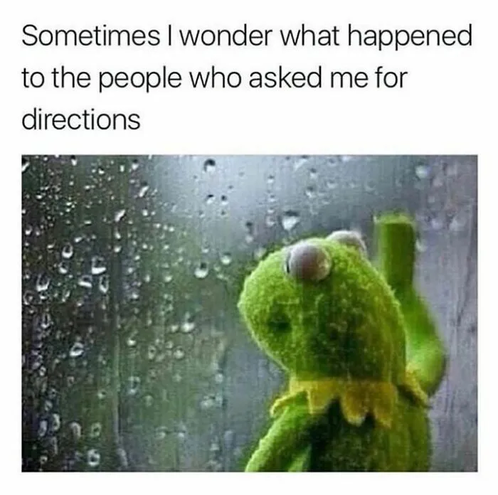 kermit ponders directions