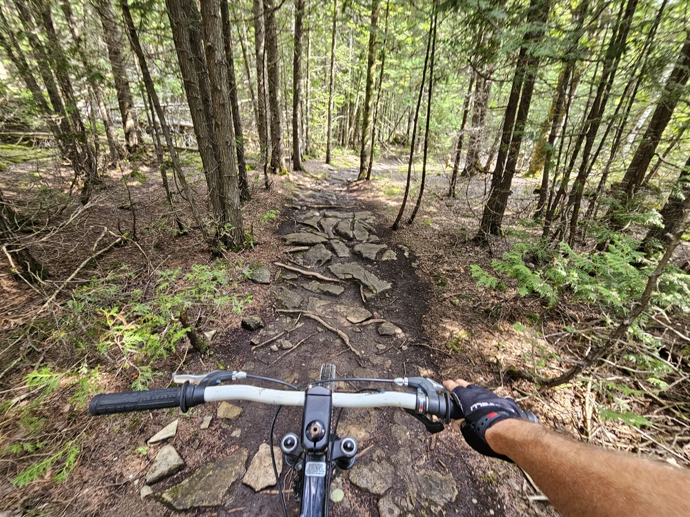 matty mountain biking