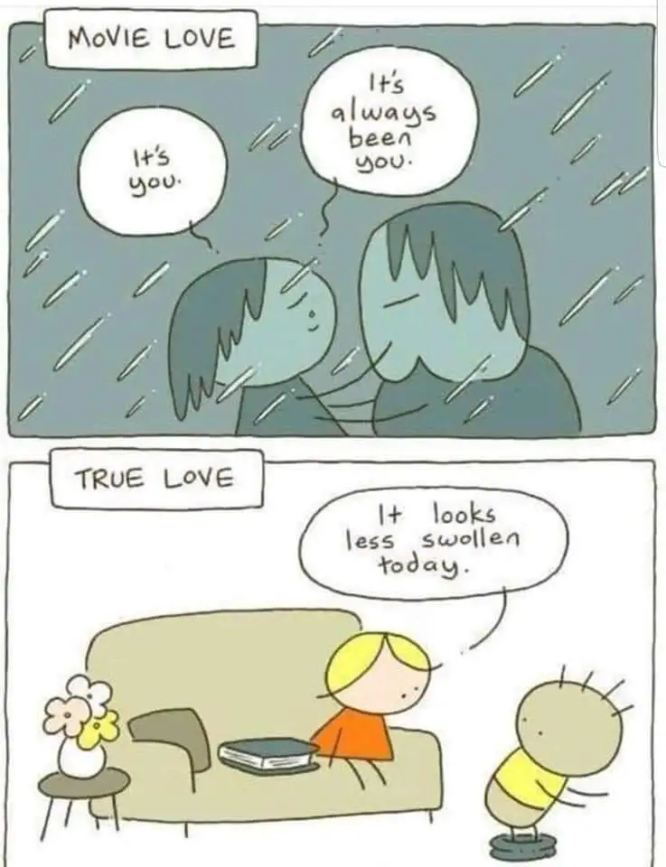 movie love vs true love