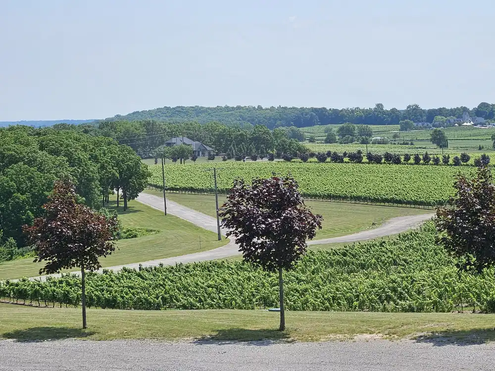 niagara winery