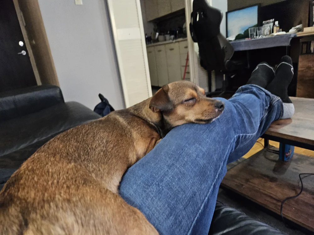 nikos a cuddler nikos a cuddler