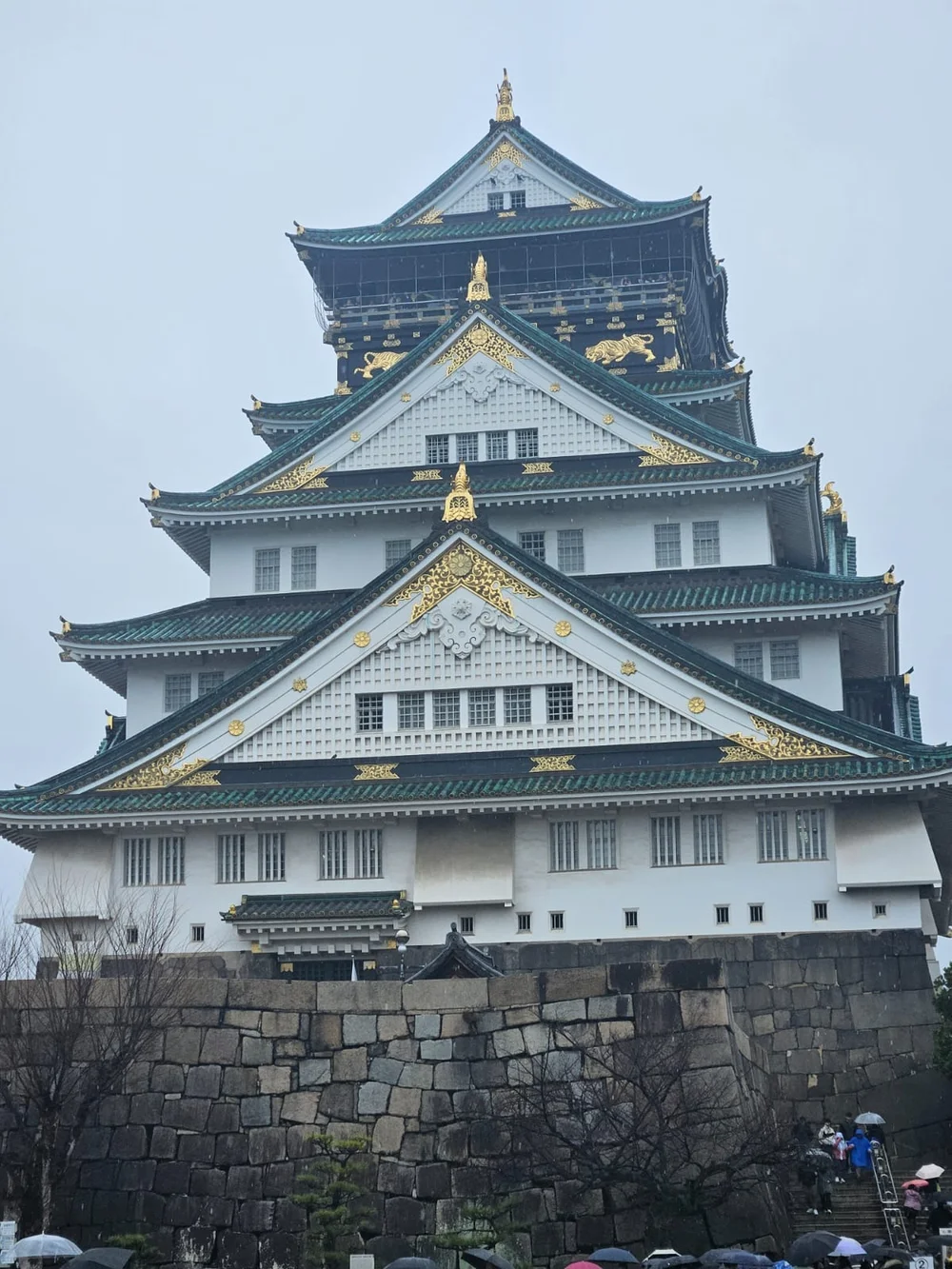 amazing day night in osaka castle