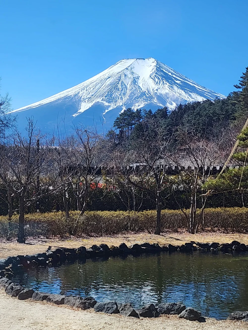 mt fuji