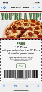 big mikes pizza coupon