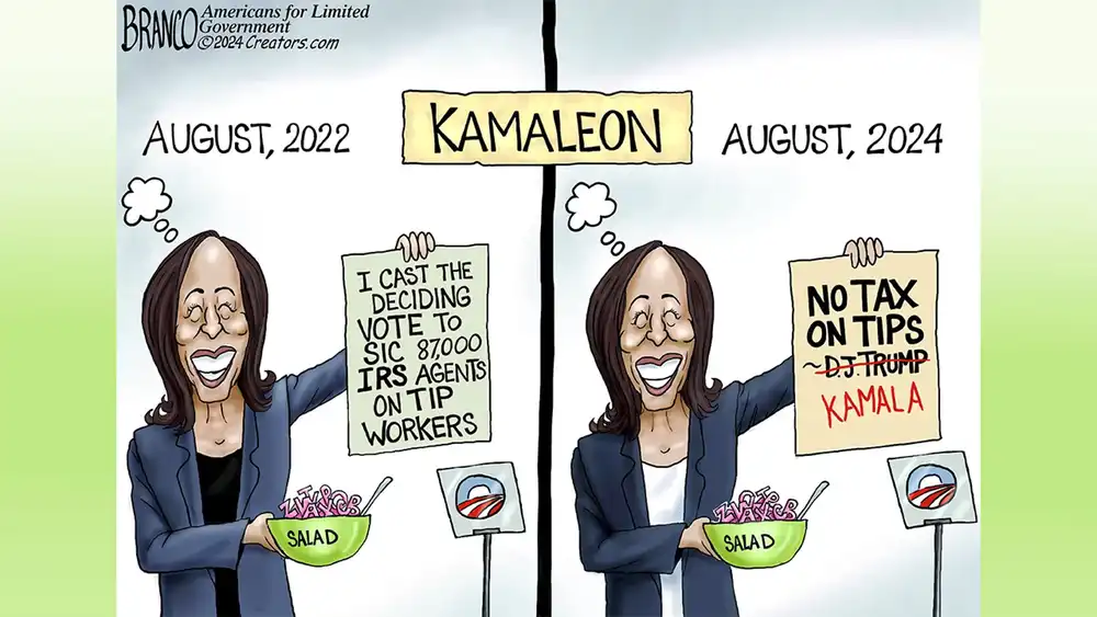 kamaleon kamala