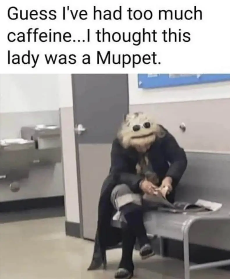 i thought this lady was a muppet