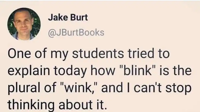 the plural of wink